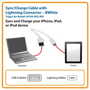 TRIPP LITE 3FT LIGHTNING USB SYNC/CHARGE CABLE FOR APPLE IPHONE / IPAD WHITE 3' - DATA / POWER CABLE - 3.3 FT